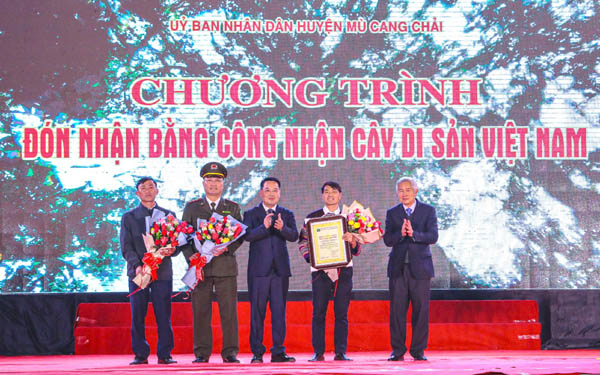 Chủ[-]tịch[-]UBND[-]tỉnh[-]Yên[-]Bái[-]trực[-]tiếp[-]trao[-]Bằng[-]công[-]nhận[-]Cây[-]di[-]sản[-]Việt[-]Nam[-]cho[-]đại[-]diện[-]Khu[-]bảo[-]tồn[-]Chế[-]Tạo[-]huyện[-]Mù[-]Cang[-]Chải